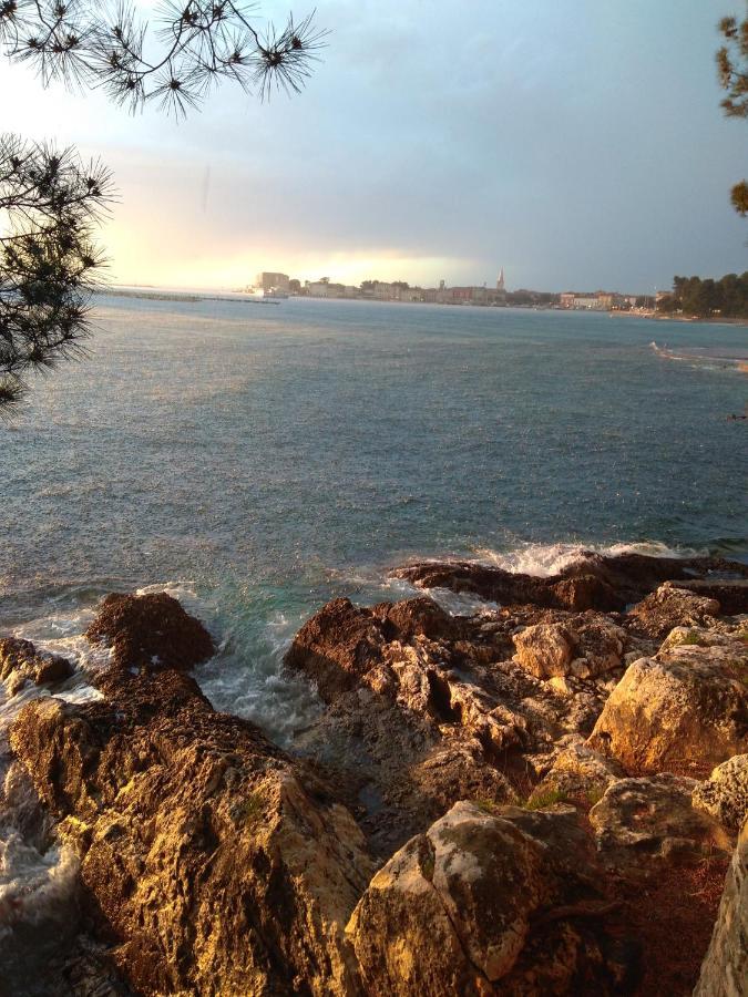 Apartment Rosse Poreč Dış mekan fotoğraf