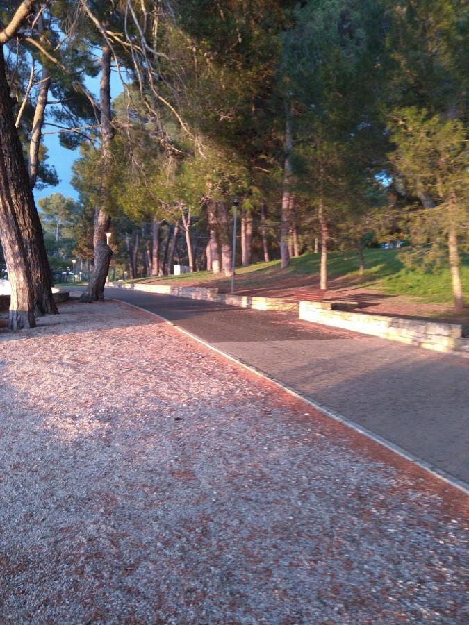 Apartment Rosse Poreč Dış mekan fotoğraf